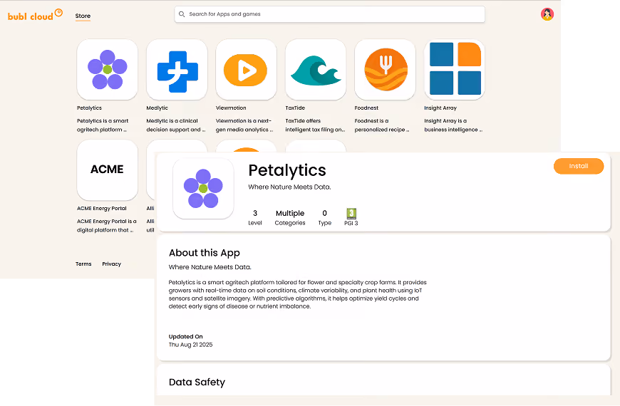 Bubl Cloud Platform Screenshot